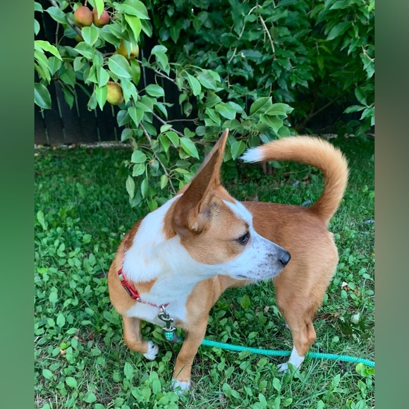 Meet your Posher, Michelle - Picture 2 of 6